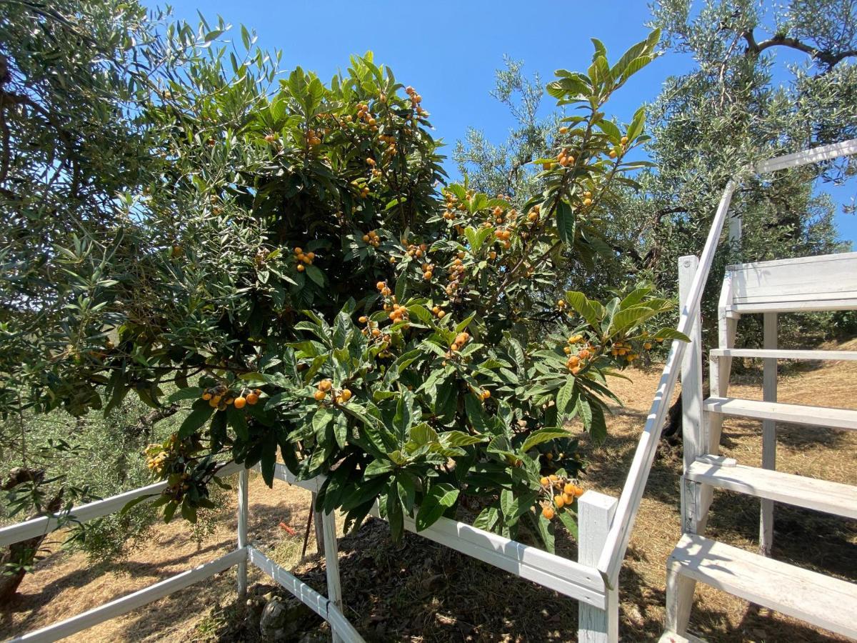 I Giardini Di Margius Villa Itri Eksteriør bilde
