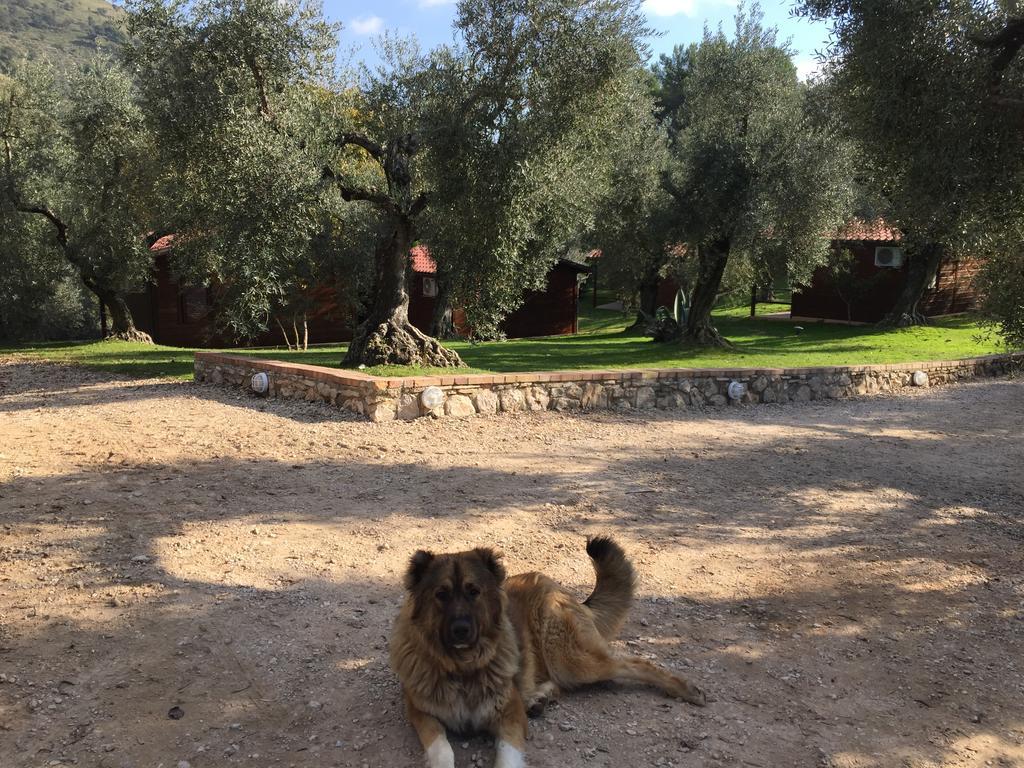 I Giardini Di Margius Villa Itri Eksteriør bilde